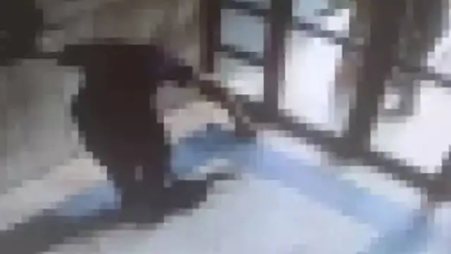 Başakşehir’de kediyi işkenceyle öldüren kişi tutuklandı