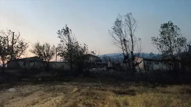 Kocaeli'de orman yangını: 3 Mahalle tahliye edildi