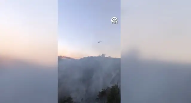 Diyarbakır'da ormanlık alanda çıkan yangına müdahale ediliyor