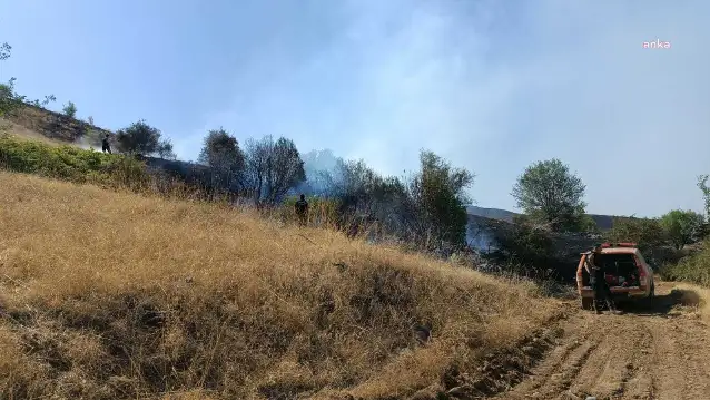 Malatya'daki yangına müdahale ediliyor