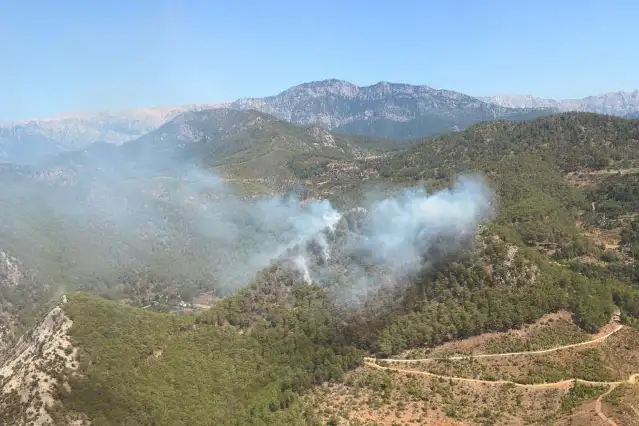 Silifke'deki orman yangınıyla ilgili 4 kişi tutuklandı
