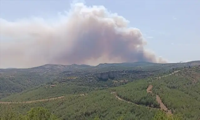 Silifke’de orman yangını: 3 mahalle tahliye ediliyor
