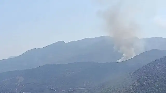 Balıkesir'in Susurluk ilçesinde yangın çıktı