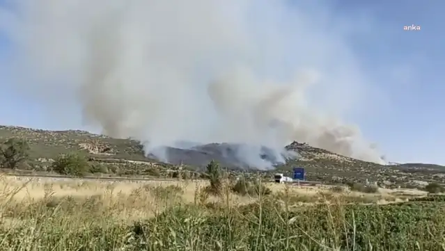 Diyarbakır’ın 3 ayrı noktasında orman yangını