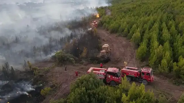 Osmaniye'den yangına müdahaleye giden orman işçileri kaza yaptı: 1 işçi hayatını kaybetti