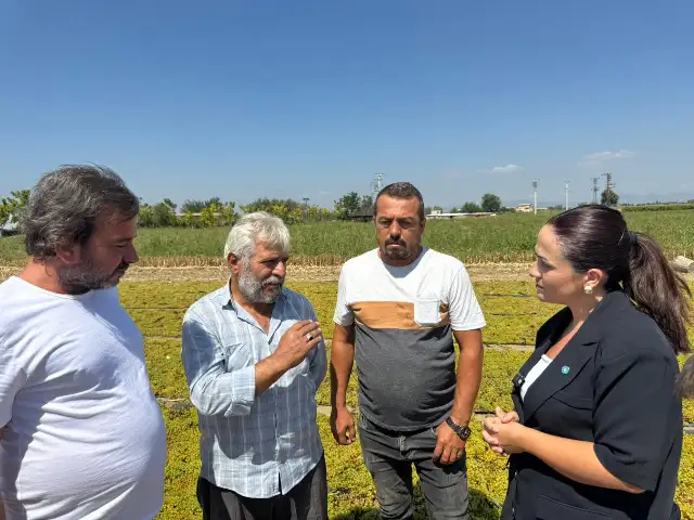 İYİ Partili Başkan Aytaç, üzüm üreticilerinin sorunlarını dinledi