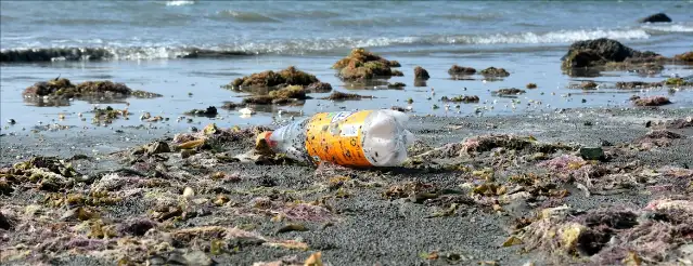 Karadeniz kıyılarının %90'ı kirli çıktı