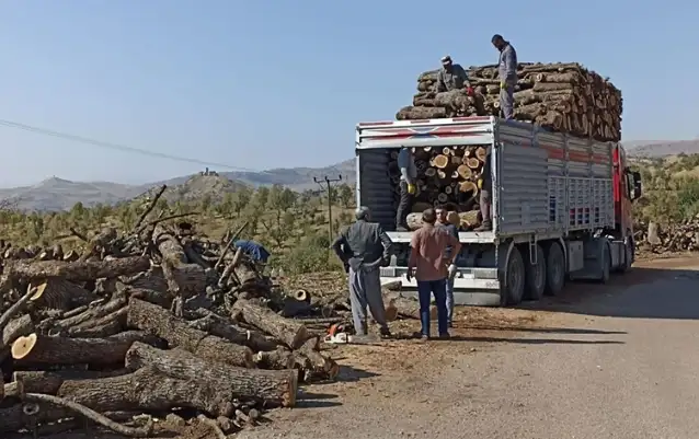 Şırnak Ekoloji Platformu: Ağaç kesimine karşı 8 bin imza topladık