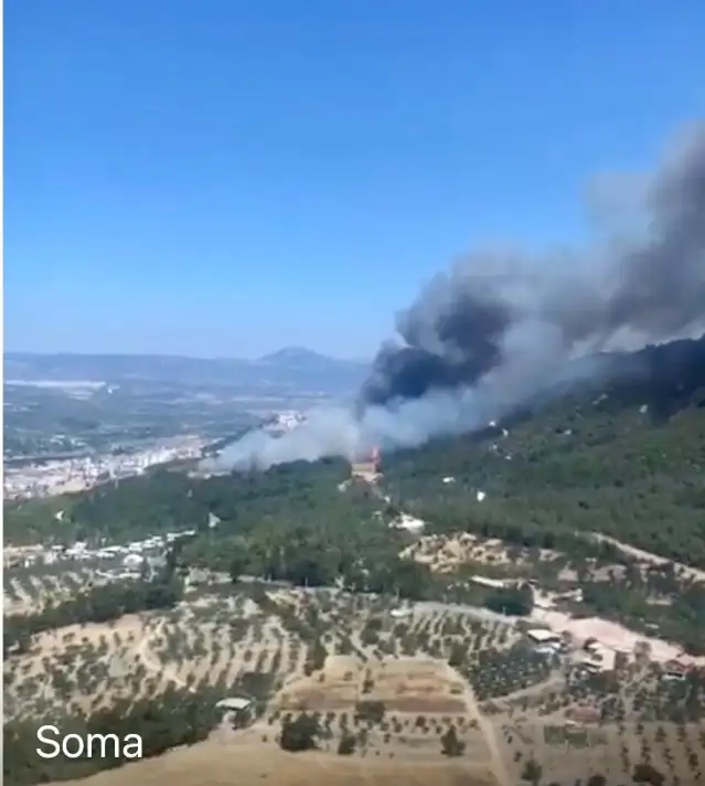 Manisa'nın Soma ilçesinde, orman yangını