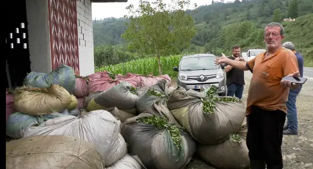 Trabzon'da çay üreticileri, ÇAYKUR'un uyguladığı kota ve kontenjan uygulamalarını protesto etti