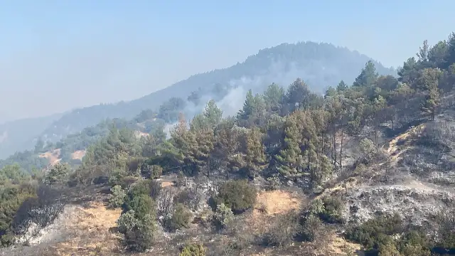 Denizli'de çıkan orman yangınına müdahale sürüyor
