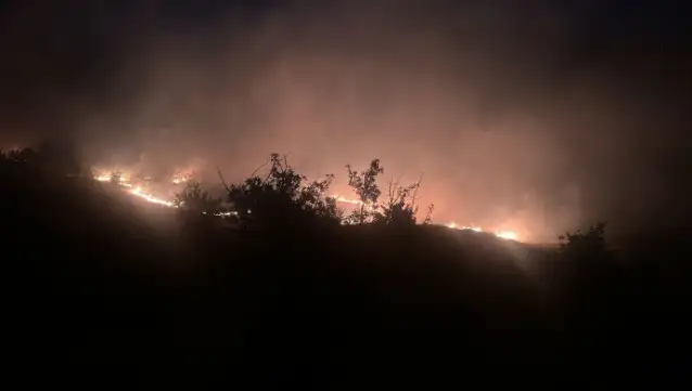 Diyarbakır ve Dersim’de orman yangını
