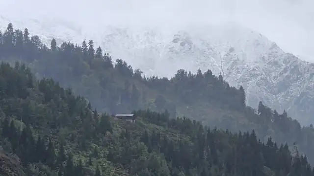 Rize'de yüksek kesimlere kar yağdı