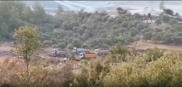 Akbelen’de zeytin ağaçları sökülüyor, köylülerden destek çağrısı