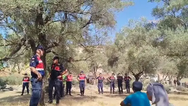 Akbelen’de zeytin ağaçlarının kesimine direnen muhtar ve köylüler gözaltına alındı