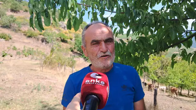 Ardanuçlu besici Bozkurt: Hayvancılığı bırakma noktasına geldik
