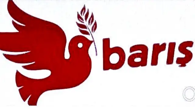 Barış Akademisyenlerinden 1 Eylül Mesajı: Hukuksuzluk sürüyor