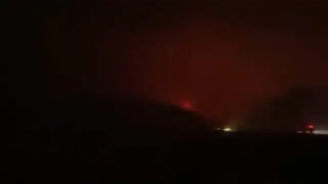 Bursa’da orman yangını