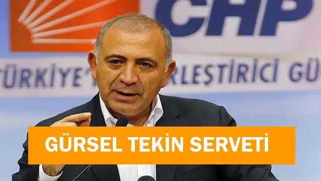 Gürsel Tekin Serveti: Mal Varlığı Ne Kadar?