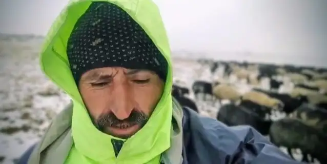 Hopa'da mevsimin ilk karı yağdı: Çobanlar yaylada mahsur kaldı