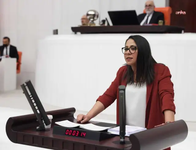 TİP'li Sera Kadıgil'den casusluk davası yorumu