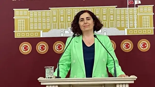 Sevilay Çelenk'ten Kızılcık Şerbeti senaristinin gözaltına alınmasına tepki