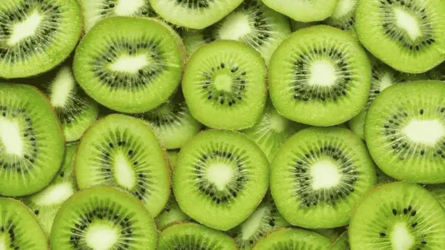 Sinema Okulları Öğrenci Filmleri Yarışması’nda finalistler belli oldu!
