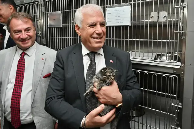Bursa Büyükşehir’den can dostlara şefkat eli