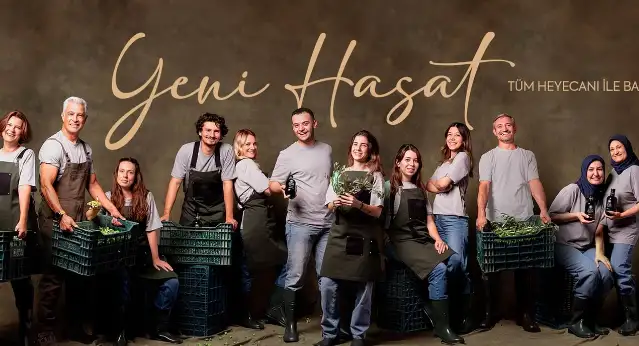 ZEYTİNDE YENİ HASAT HEYECANI BAŞLADI!