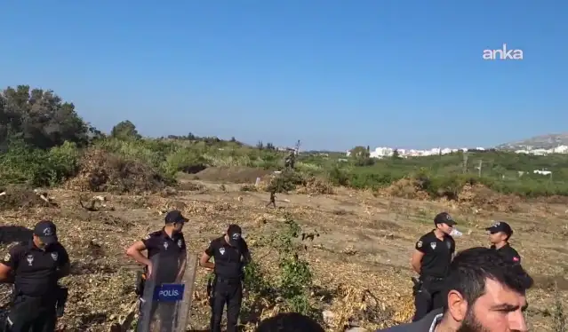Hatay'da TOKİ için kamulaştırılan Kurtderesi’nde kalan ağaçlar da kesildi, mahalle sakinleri tepkili