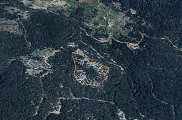 Muğla'daki ormanlık alana maden ocağı projesine "ÇED olumlu" kararı