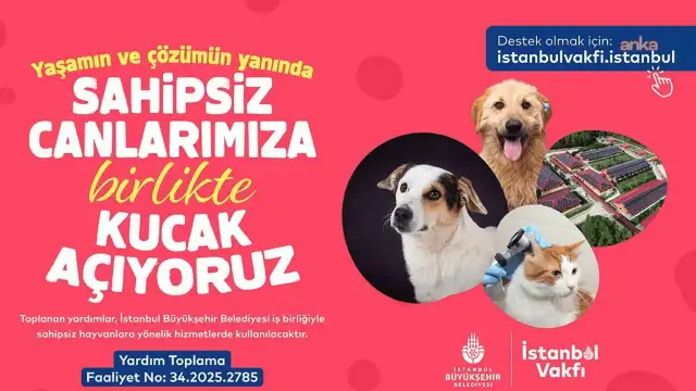 İBB ve İstanbul Vakfı'ndan sahipsiz hayvanlar için destek kampanyası