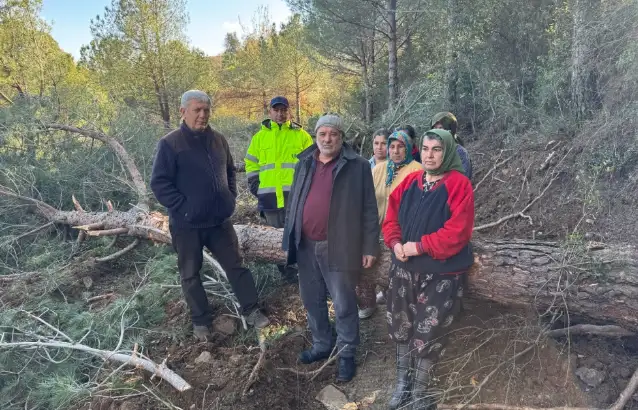 Danıştay, onlarca ağacın kesildiği İzmir'deki Belevi-Tire yolunun yapımıyla ilgili açılan davada yürütmeyi durdurdu
