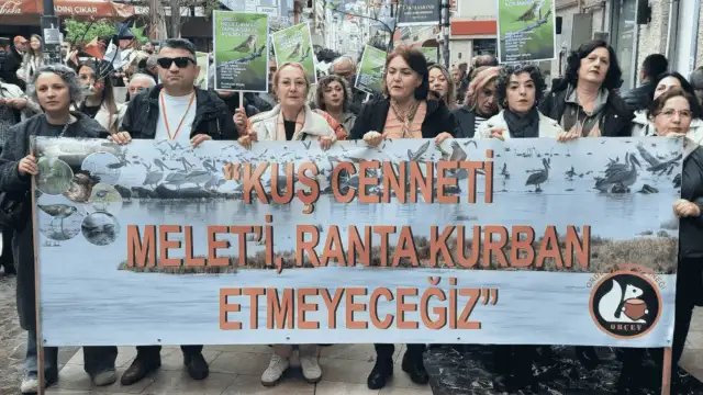Ordu halkından 'Beton' tepkisi: Mahkeme iptal etti, belediye ısrarcı