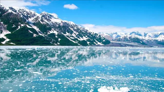 Trump yönetimi Alaska'da sondaj sınırlamalarını kaldırdı
