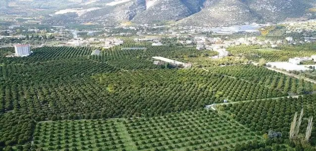 Mahkeme, Finike–Demre–Kaş–Kalkan Yol Projesi’nin ÇED Olumlu Kararını iptal etti