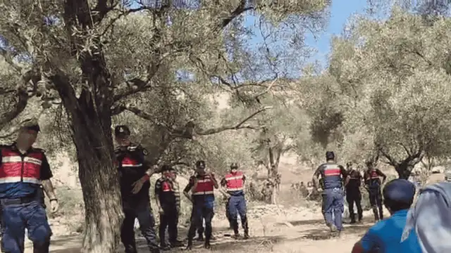 Akbelen direnişçilerine hapis cezası: Suçumuz doğayı korumak