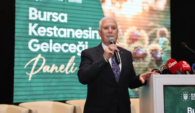 Bursa Büyükşehir, coğrafi işaretli Bursa kestanesini canlandırmak için harekete geçti