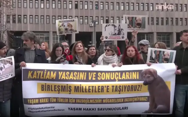 Hayvan hakları savunucusu avukatlardan Birleşmiş Milletler'e başvuru