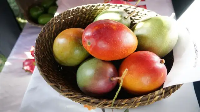 Mango Nedir? Faydaları Nelerdir? Kilo Aldırır mı?