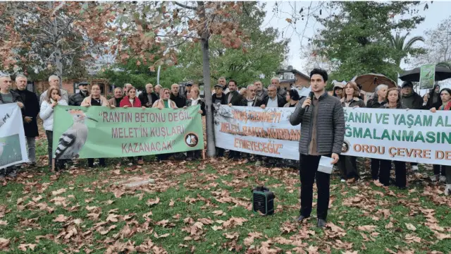 Ordu'da yeşil alan mücadelesi devam ediyor