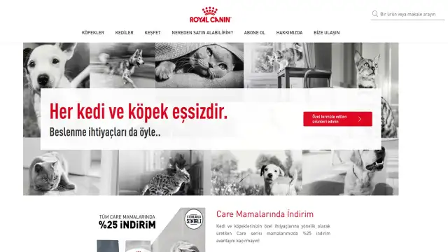 Köpeklerde Tırnak Kesimi: Adım Adım Güvenli Kesim Rehberi