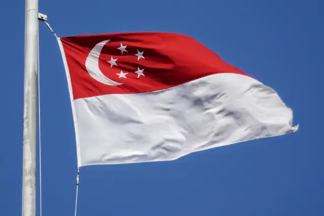 Singapur'da dolandırıcılara "kırbaç cezası" öngören yasa 30 Aralık'tan itibaren uygulanacak