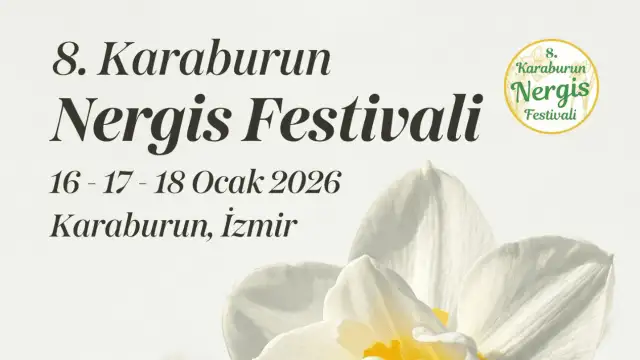 Nergisin başkenti Karaburun, 8. Nergis Festivali’ne hazırlanıyor!
