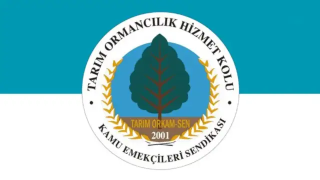 Tarım Orkam-Sen'den Milas uyarısı: 40 bin zeytin ağacı yok edilme tehdidiyle karşı karşıya