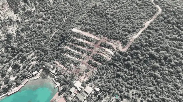 Kaş Çevre ve Kültür Derneği: Limanağzı’nda doğa ve zeytinlikler rant uğruna yok ediliyor