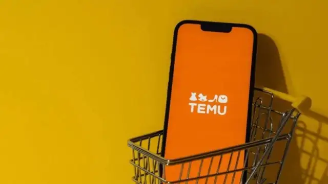 Temu gümrük düzenlemesi sonrası Türkiye pazarına döndü