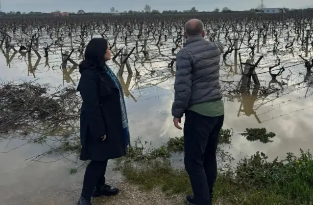 Manisa ovası sele mahkûm: Kadın Başkan Aytaç yerinde tespitte bulundu