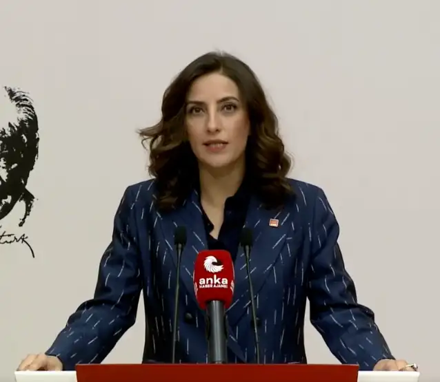 CHP'li Rızvanoğlu: 4 milyon 800 bin metrekare alan bir gecede orman sınırları dışına çıkarıldı