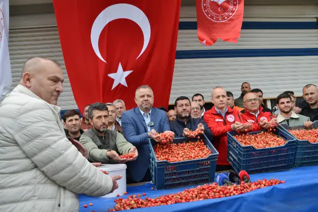 Kuzey Ege'nin en erkenci kirazı Manisa'nın Sancaklıbozköy ve Sancaklı İğdecik'te görücüye çıktı